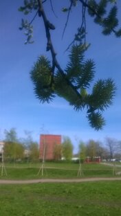 Прогулочное