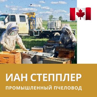 Иан Степплер, Канада