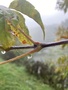 Реальные истории