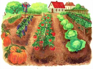 Ленивые грядки