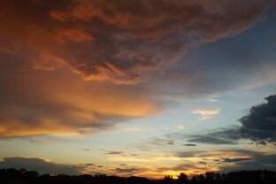 Экспедиции