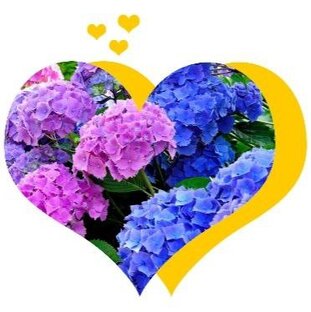 Декоративные культуры 