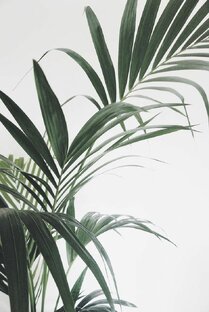 Домашние животные🐔🐶🐷