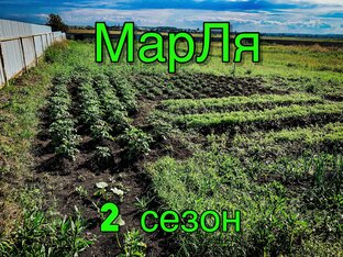 МарЛя. 2 сезон.