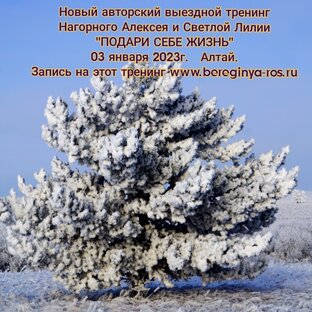 Тренинги Нагорного Алексея и Светлой Лилии