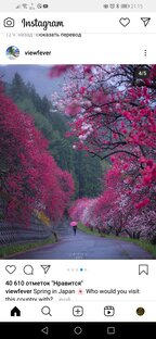 Замок (дворец, Кастл) Кету и Джунгли Раху