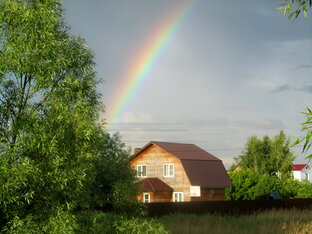 Зарисовки природы