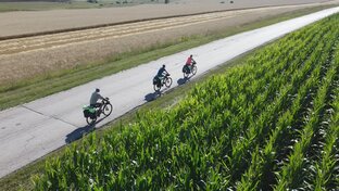 На Кудыкину гору