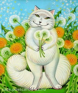 Ролики-открытки☺