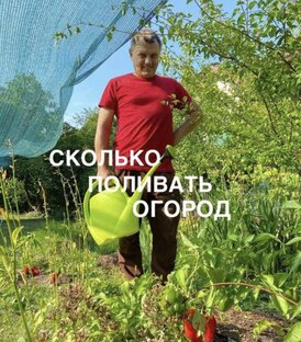 Как поливать правильно