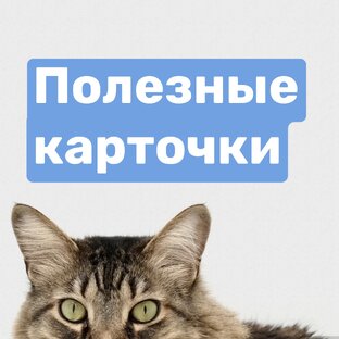 Короткая информация, обзоры 