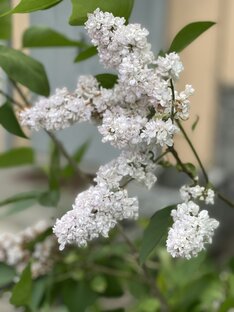 Психология, мотивация, мысли