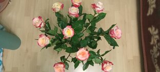 Поздравления с праздниками