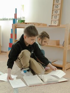 Образование 