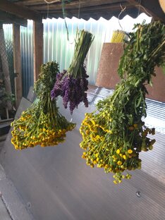 Народные средства