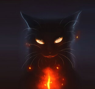 Иной мир: про котов и кошек