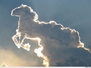 Психология