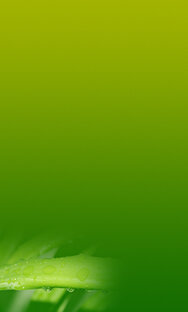 Интересные факты 