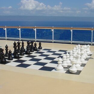 Избранные партии