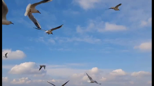 Мир в котором мы живем