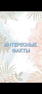 Интересные факты 