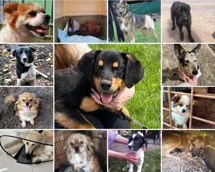 Статьи о наших передрягах(