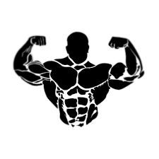 Тренировки