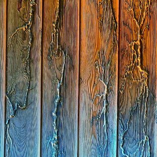 Сухожилья на лиственнице