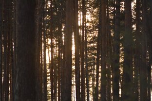 Личное. Поездки. Природа