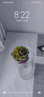 Юмор и жизненные ситуации