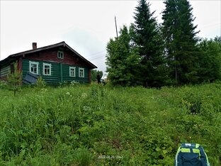 Поездка в деревню