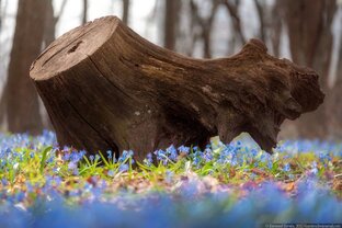 Обо всем понемногу