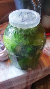 Заготовки