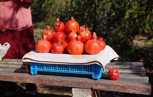 Цены в Крыму