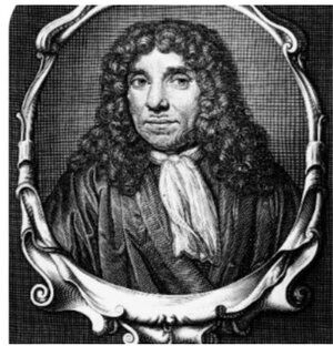 Черная кошка 2