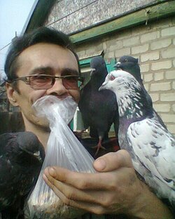 Мир всему Миру