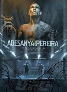 #UFC281: Адесанья-Перейра🔥