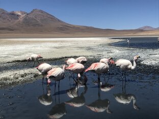 Другая Боливия и Перу