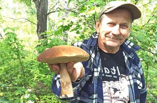 Тихая охота. Веселая грибная тема. Белые грибы, опята, маслята.