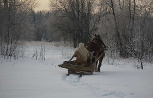 Душевное чтиво (авторские произведения)