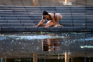 Что такое Animal Flow?