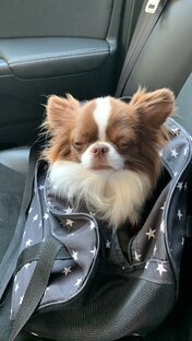 Адыгея 05.2022