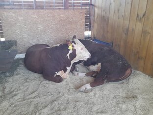 Выставки и поездки