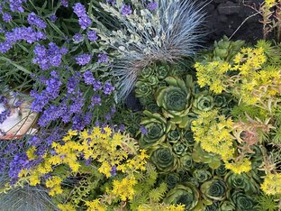 Сериал про клумбочку дачника-удачника 