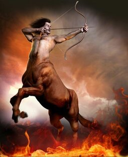 Сонник животные. Второй круг или мифические существа.