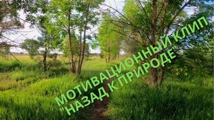 Жизнерадостные, Мотивационные 