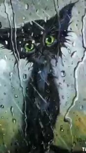 СТРАННЫЕ ИСТОРИИ, иногда непонятные