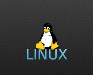 Linuxoid