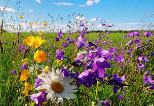 Гороскопы на июль 2022 года по знакам