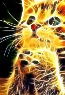 Аниме котик